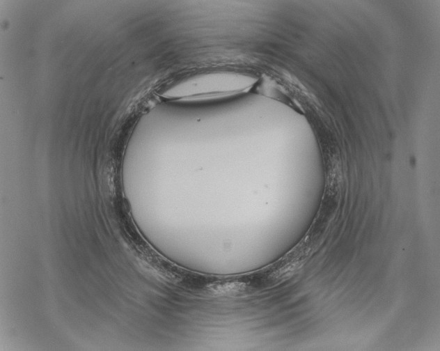 X0000069360452200606091605