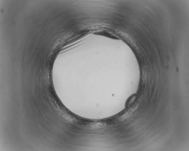 X0000069360453200606091605