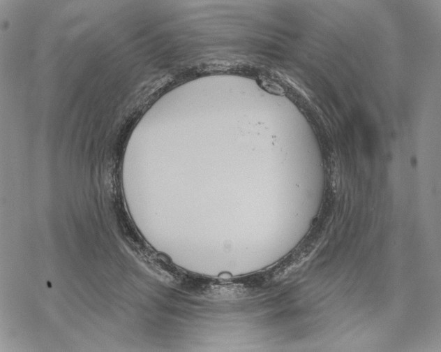 X0000069360455200606091605