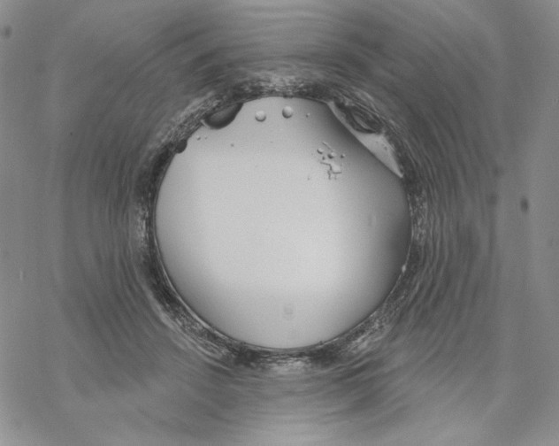 X0000069360456200606091605