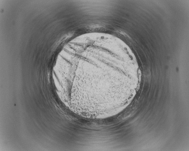 X0000069360458200606091605