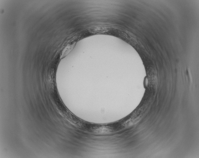 X0000069360460200606091605