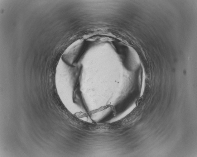 X0000069360462200606091605