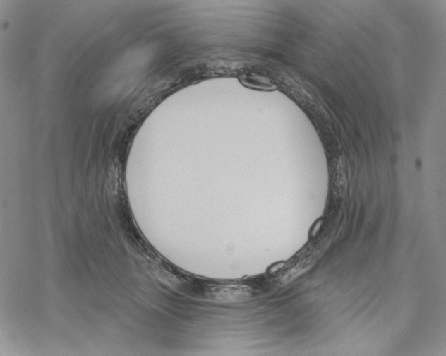 X0000069360463200606091605