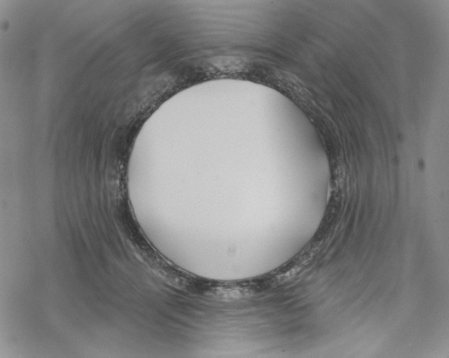 X0000069360464200606091605