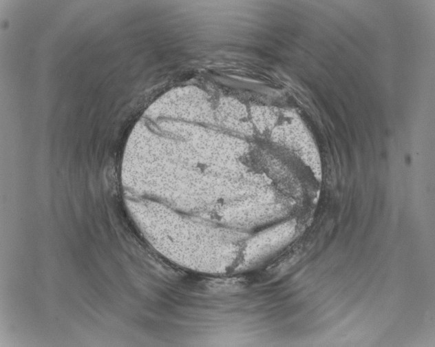 X0000069360465200606091605