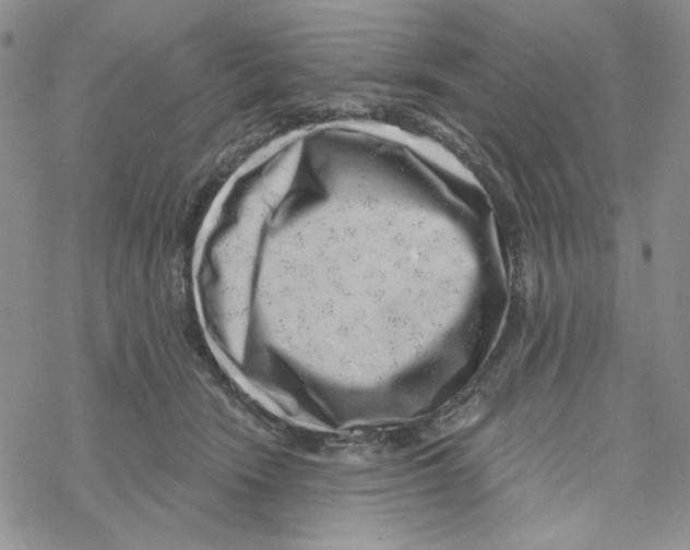 X0000069360466200606091605