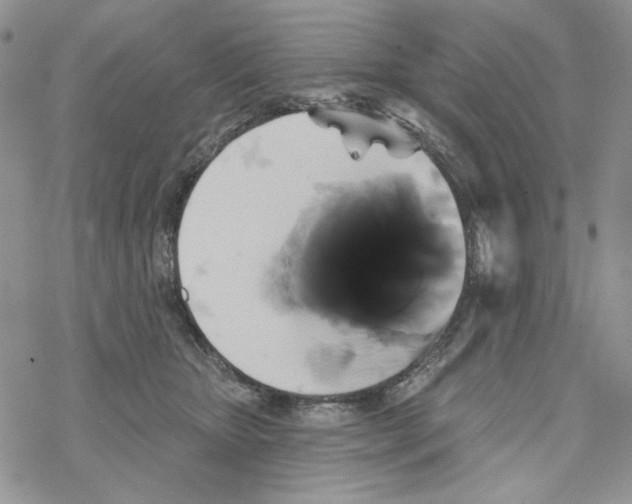 X0000069360467200606091605