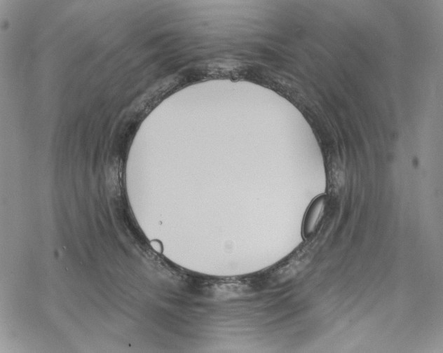 X0000069360468200606091605