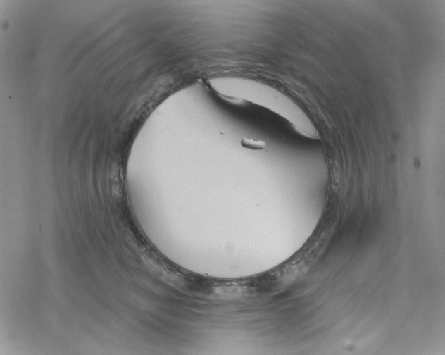 X0000069360470200606091605