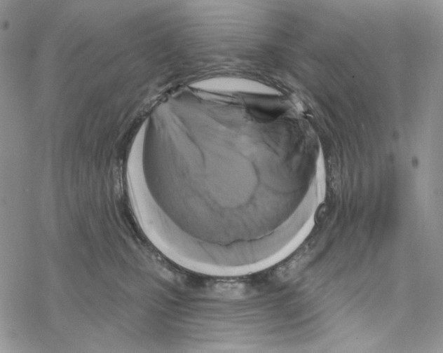 X0000069360471200606091605