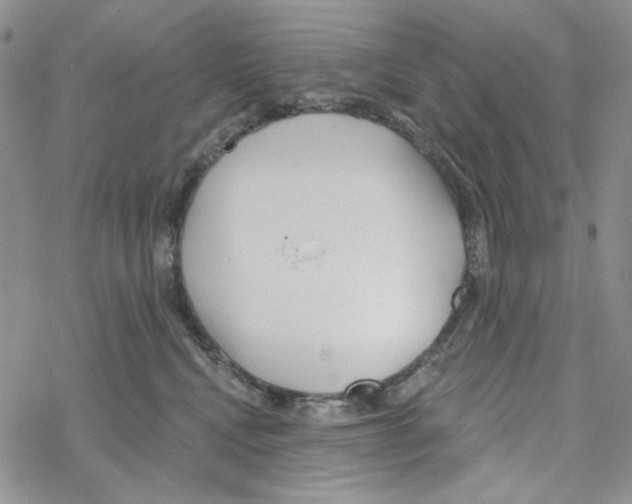 X0000069360472200606091605