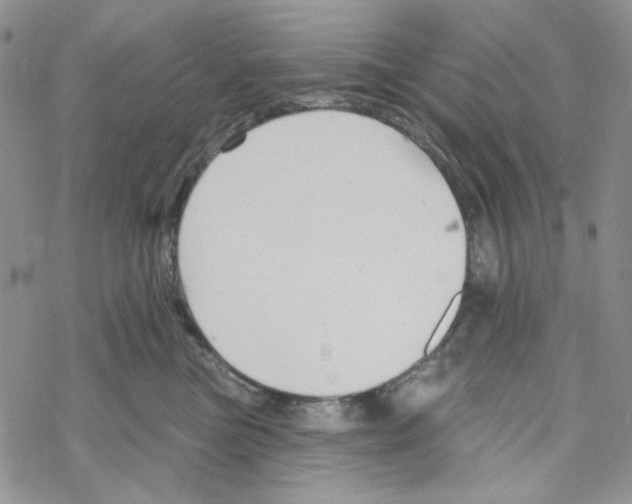 X0000069360473200606091605