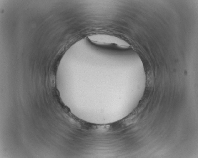 X0000069360474200606091605