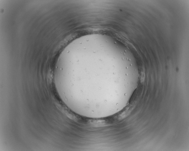 X0000069360476200606091605