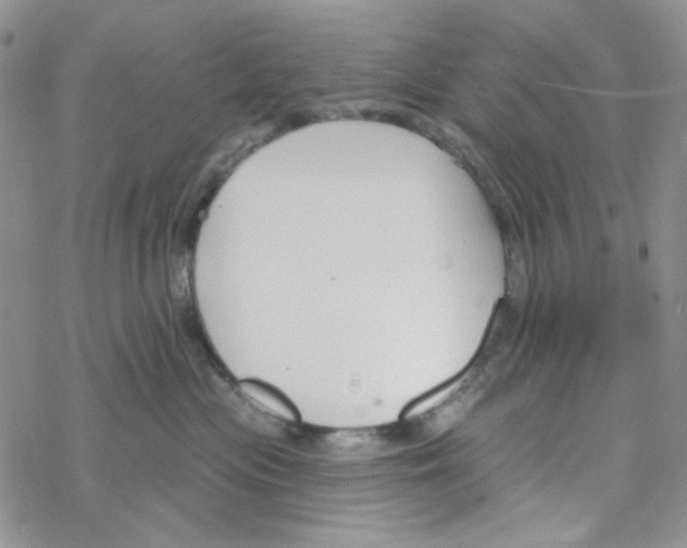 X0000069360477200606091605