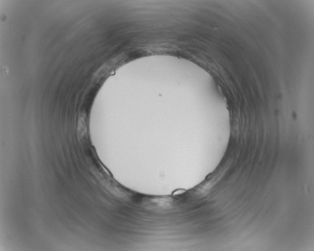 X0000069360478200606091605