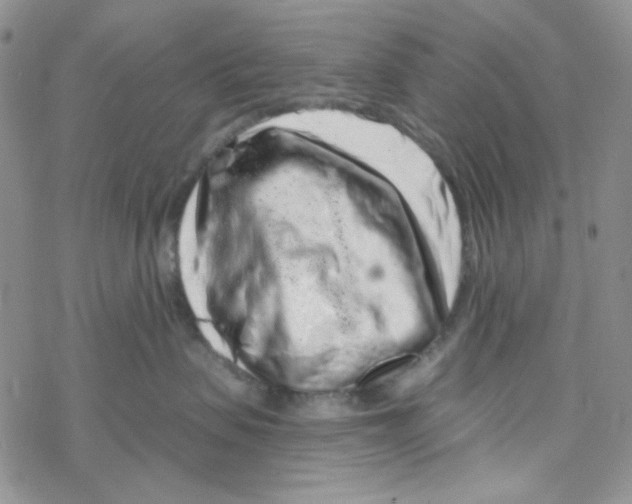 X0000069360479200606091605