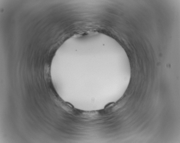 X0000069360480200606091605