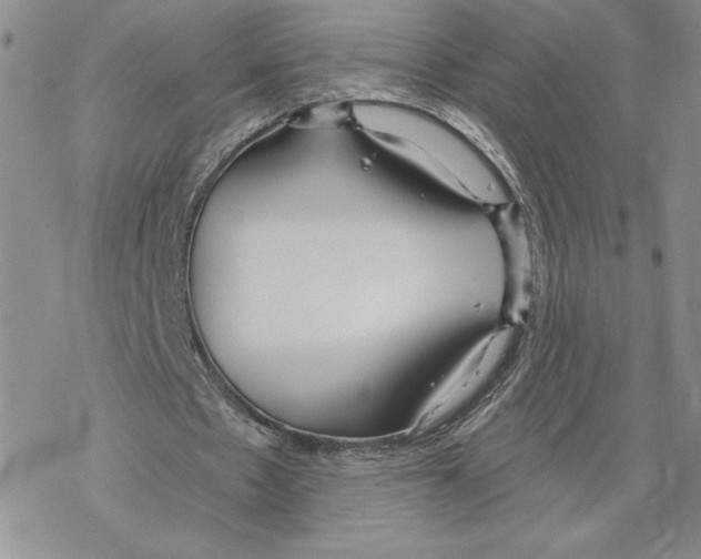 X0000069360481200606091605