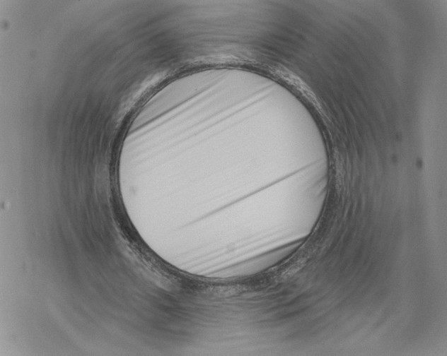 X0000069360482200606091605