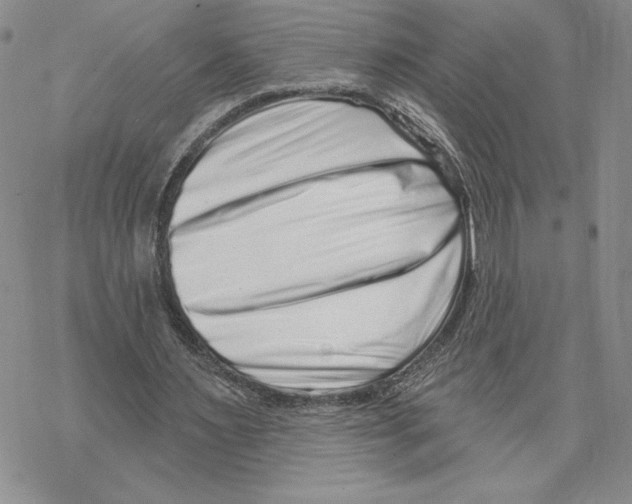 X0000069360483200606091605