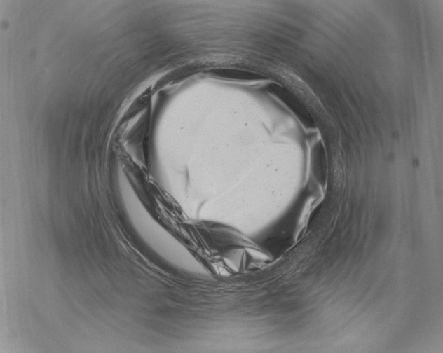 X0000069360484200606091605