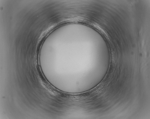 X0000069360486200606091605