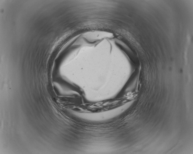 X0000069360488200606091605