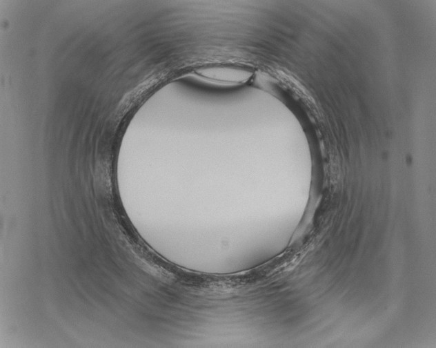 X0000069360489200606091605