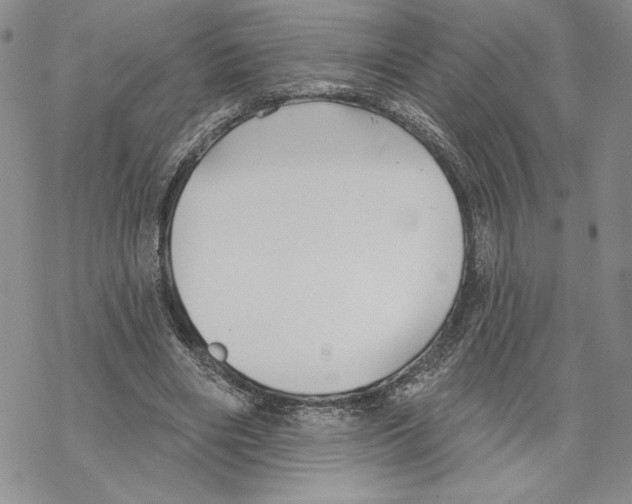 X0000069360490200606091604