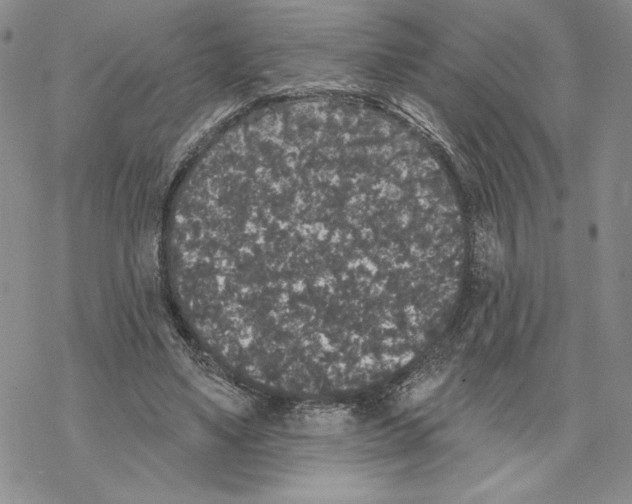 X0000069360491200606091604