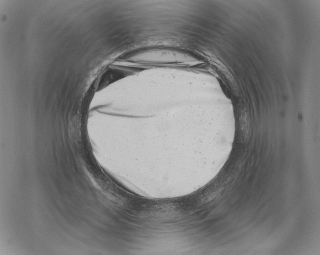 X0000069360492200606091604