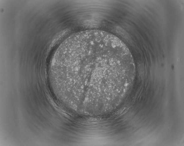 X0000069360494200606091604