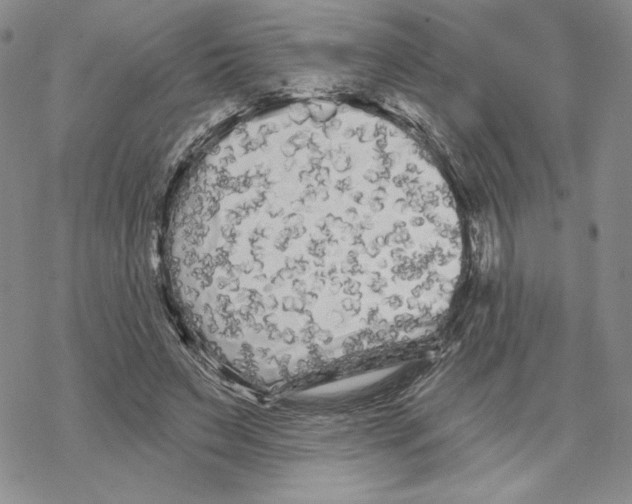 X0000069360495200606091604