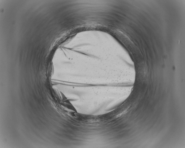 X0000069360496200606091604