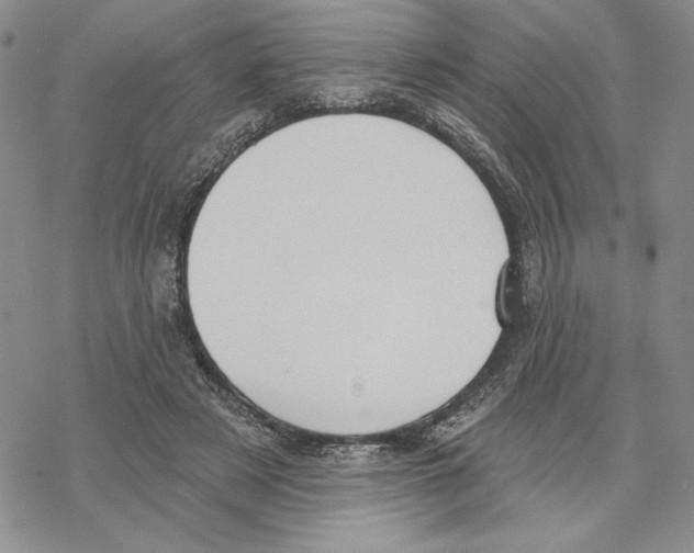 X0000069360497200606091604