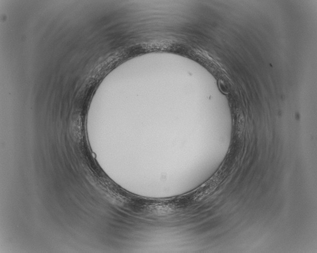 X0000069360498200606091604