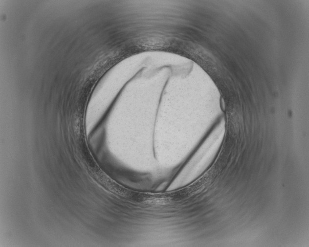 X0000069360499200606091604