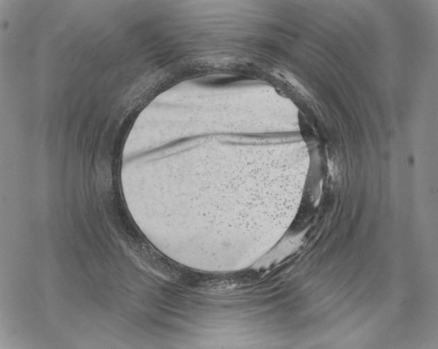 X0000069360500200606091604