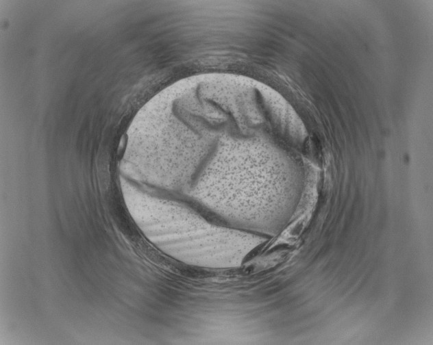 X0000069360504200606091604