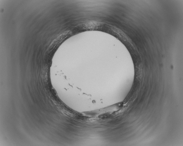 X0000069360505200606091604