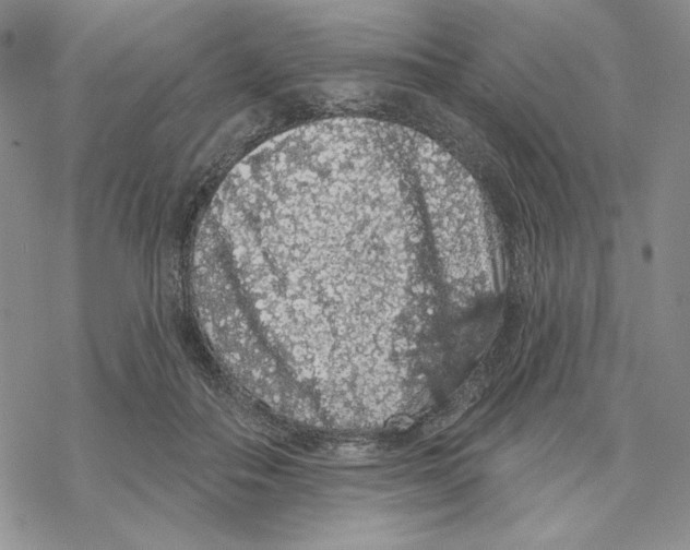 X0000069360506200606091604