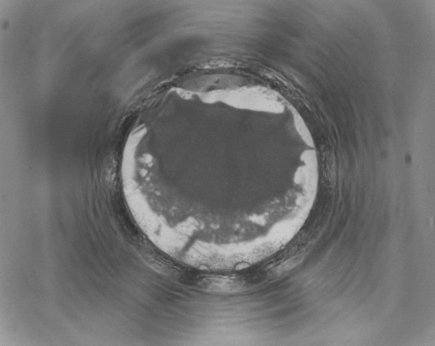 X0000069360507200606091604