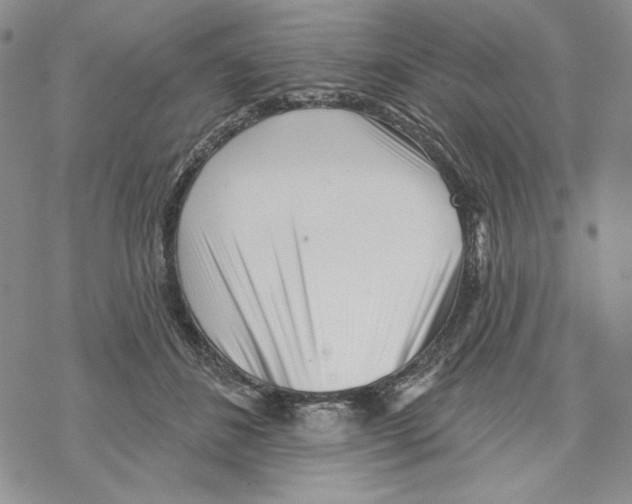 X0000069360508200606091604