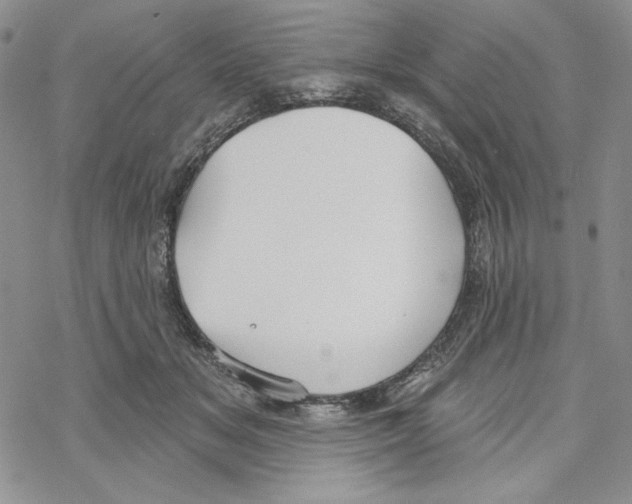 X0000069360509200606091604