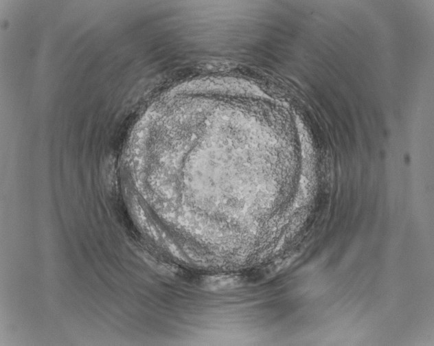 X0000069360511200606091604