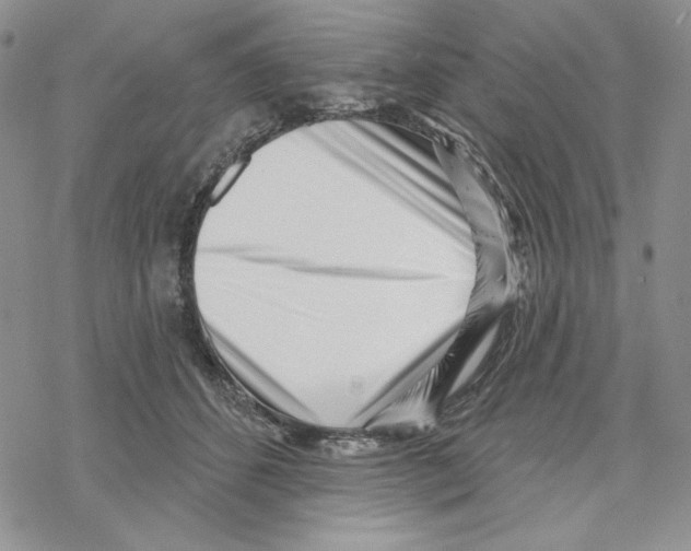 X0000069360512200606091604