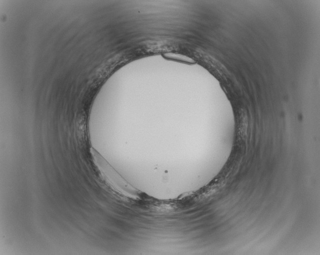 X0000069360513200606091604