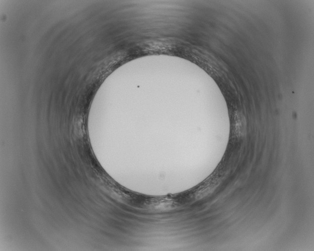 X0000069360514200606091604